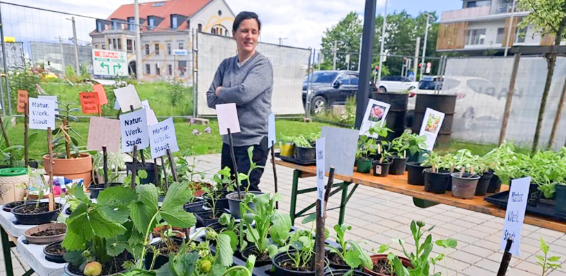 Rein ins Garteln! Jungpflanzen-Börse in Reininghaus