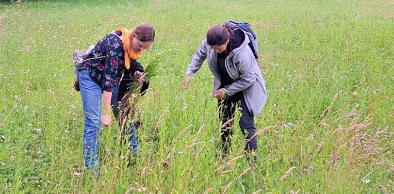 Auf der Suche nach der Natur im Steinbruch