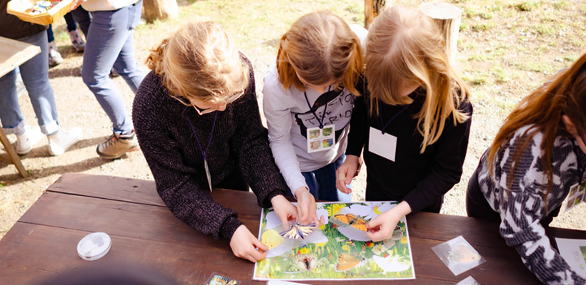 Jahresrückblick Kinderworkshops