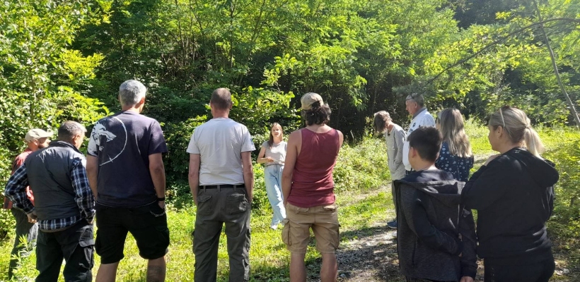 Rückblick: Workshop Insekten im Steinbruch