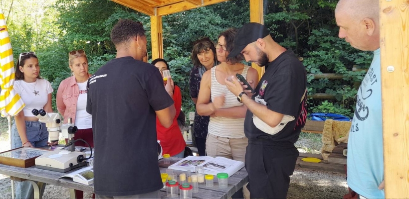 Rückblick: Wild auf Bienen – ein Workshop