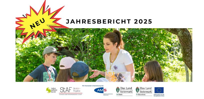 Druckfrisch: Unser Jahresbericht 2025 ist JETZT Online